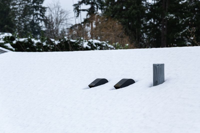 Ice Dam Damage Repair